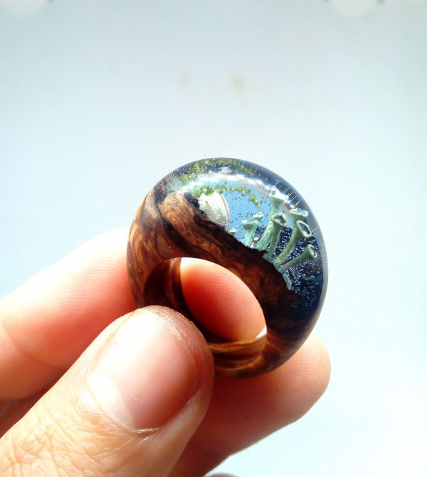 Forest - Imagen 3