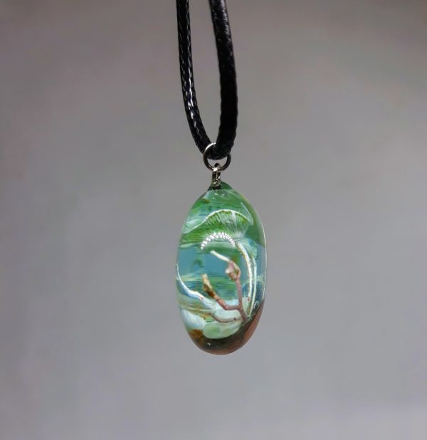 Algae - Imagen 3
