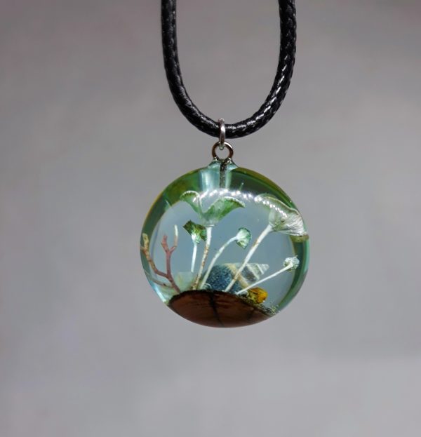 Algae - Imagen 2