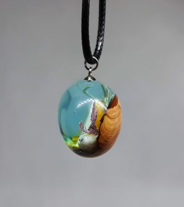 Operculum - Imagen 2