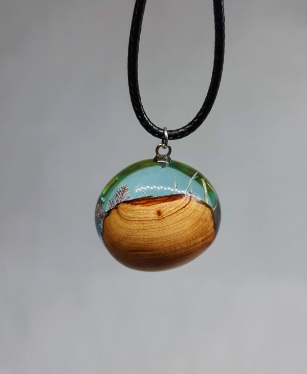 Operculum - Imagen 3