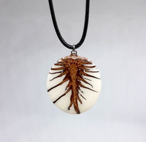 Pinecone II
