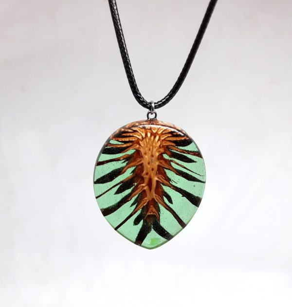 Pinecone V - Imatge 2