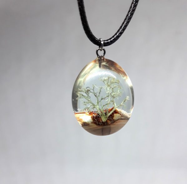 Tree of life - Imagen 2