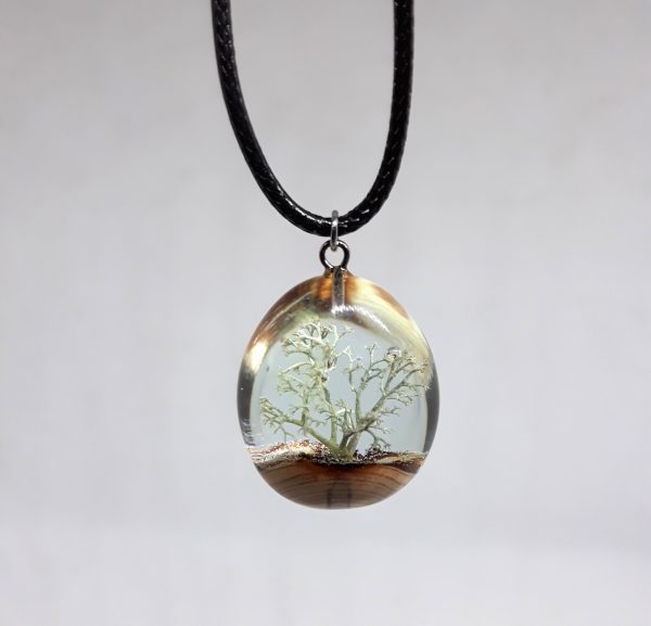 Tree of life