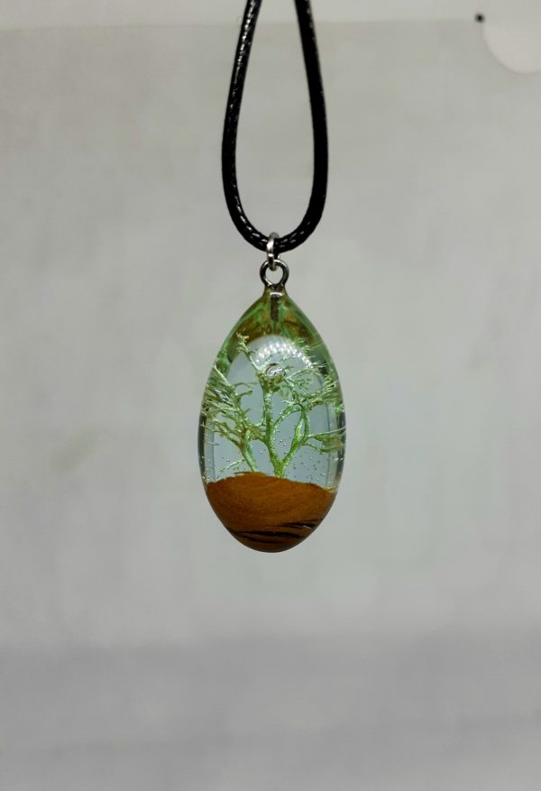 Tree of life - Imagen 3