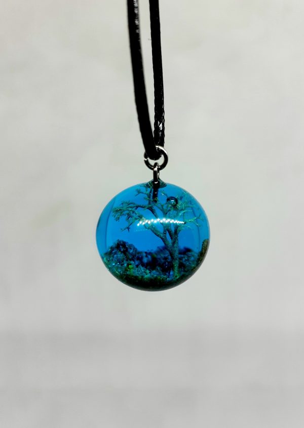 Lichen - Imagen 3
