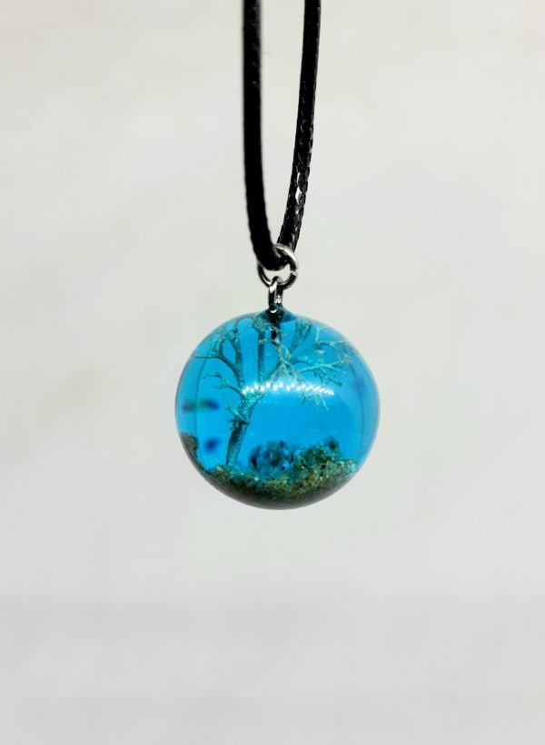 Lichen - Imagen 2