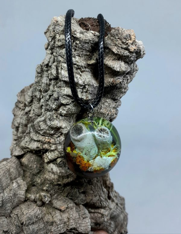Fossilized - Imagen 2