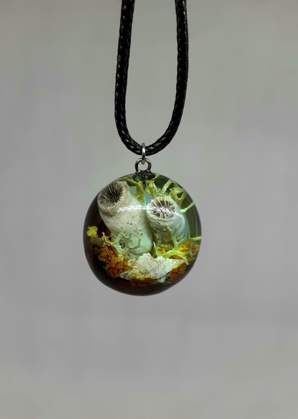 Fossilized