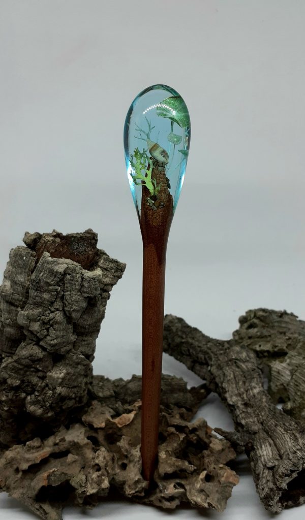 Algae - Imagen 2