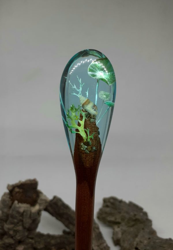 Algae